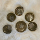 Mini Fossil Ammonite