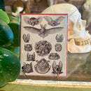 Bat Greeting Card