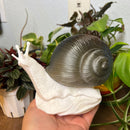 01/30/26 Snail Lamp Painting Class