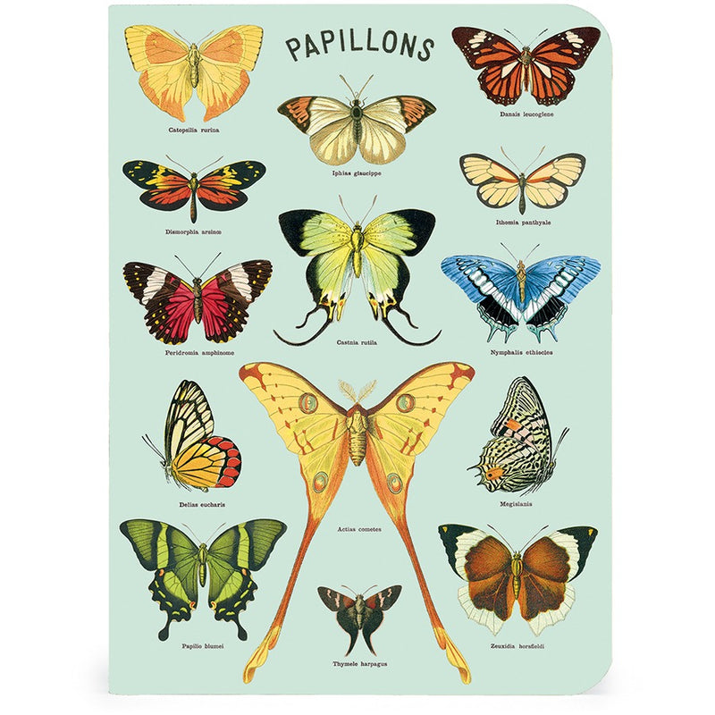 Butterflies Mini Notebook Set