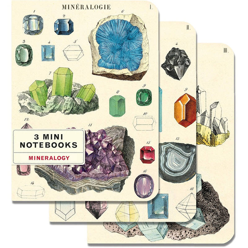 Mineralogy Mini Notebook Set