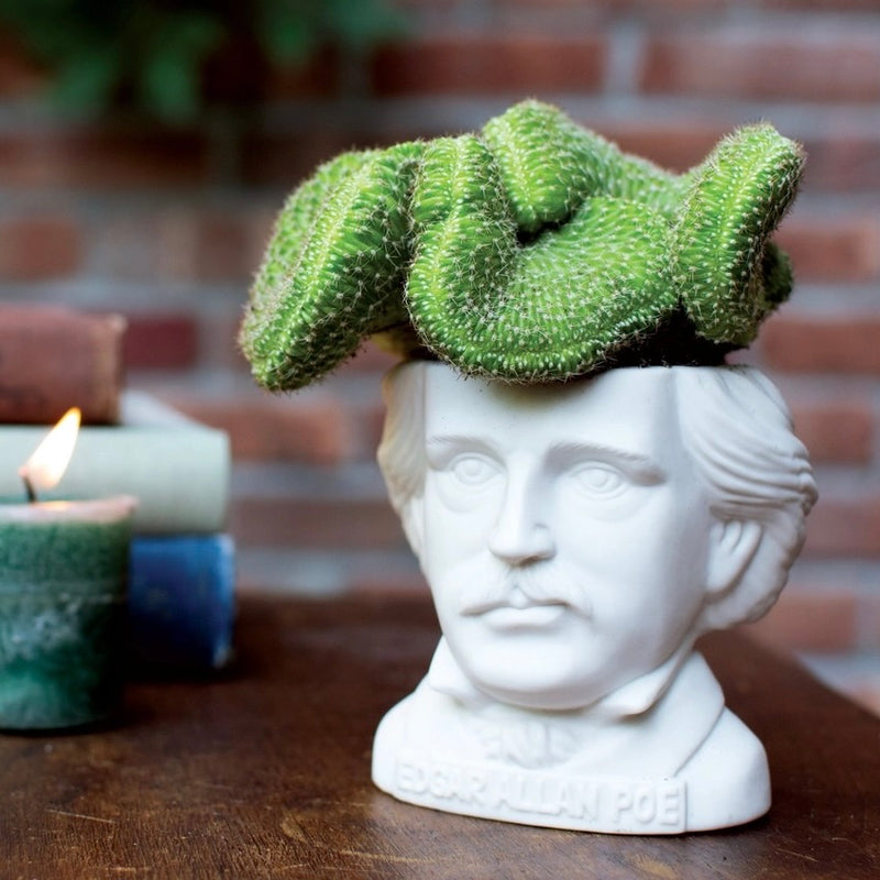 Edgar Allan Poe Planter