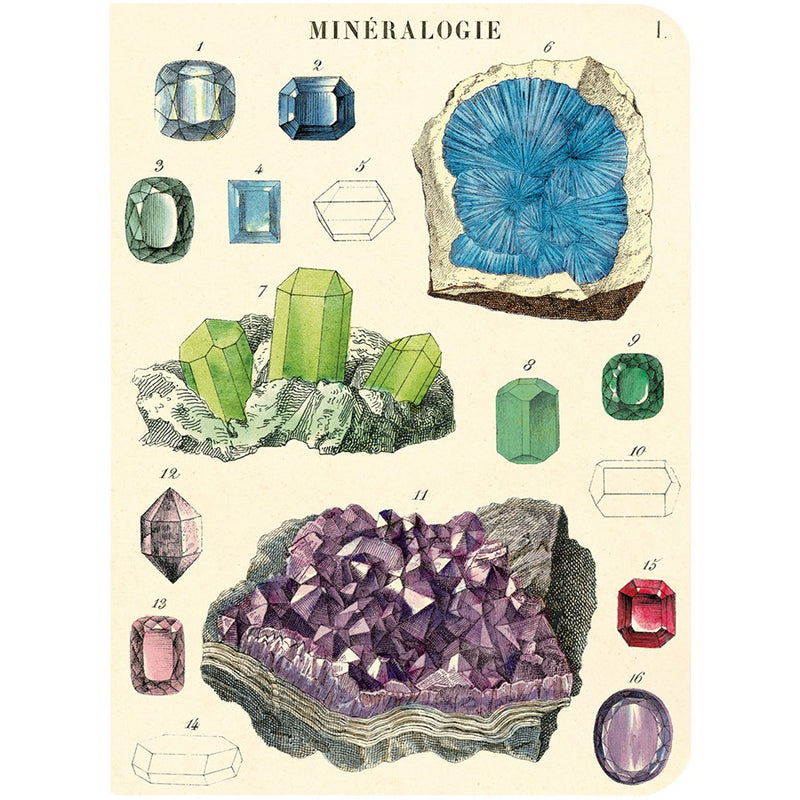 Mineralogy Mini Notebook Set