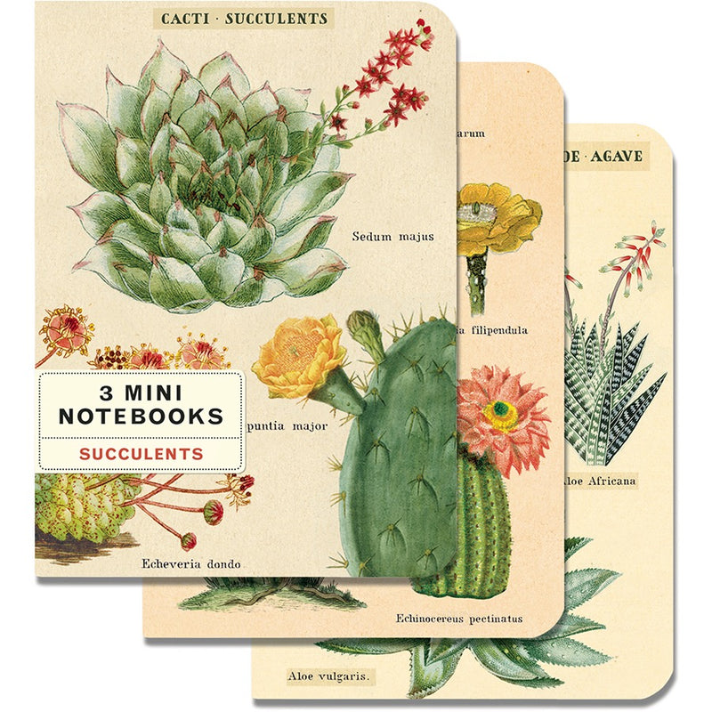 Succulents Mini Notebook Set