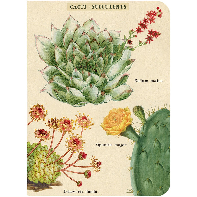 Succulents Mini Notebook Set