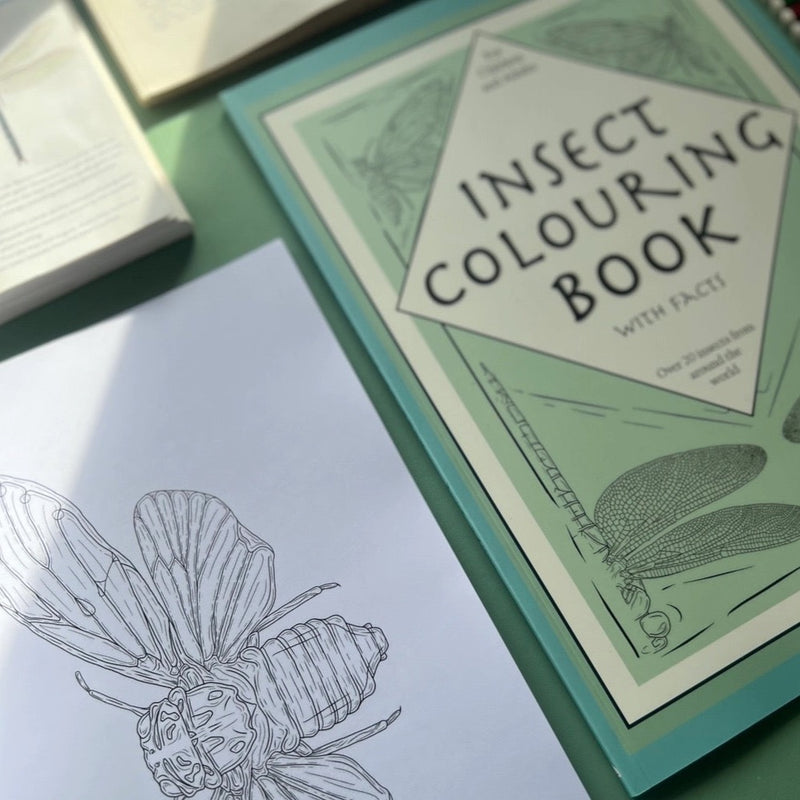 Factual Insect Coloring Book