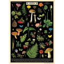 Vintage Poster Print