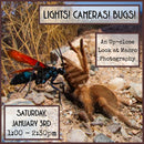 01/03/26 Lights! Cameras! Bugs!