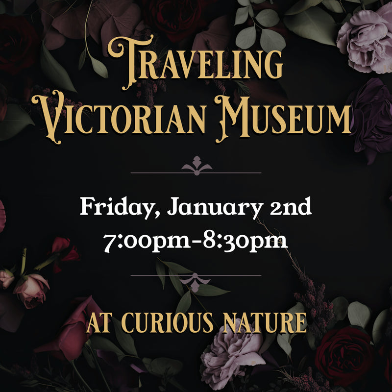 01/02/2026 Traveling Victorian Museum