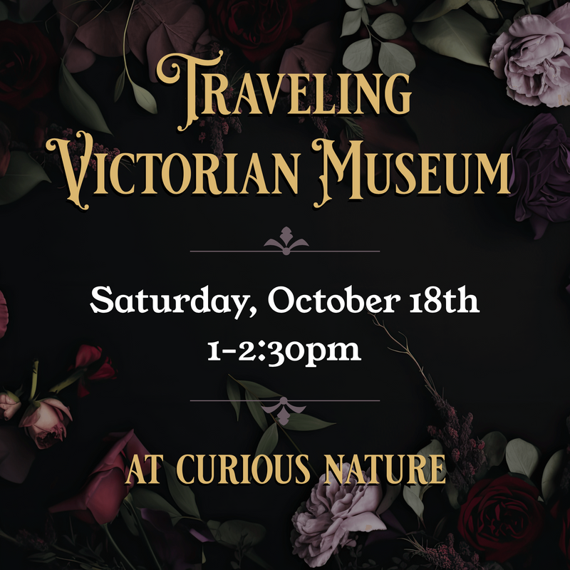 10/18/25 Traveling Victorian Museum