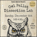 12/06/26 Owl Pellet Dissection Lab