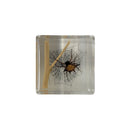 Spiny Spider Paperweight Cube