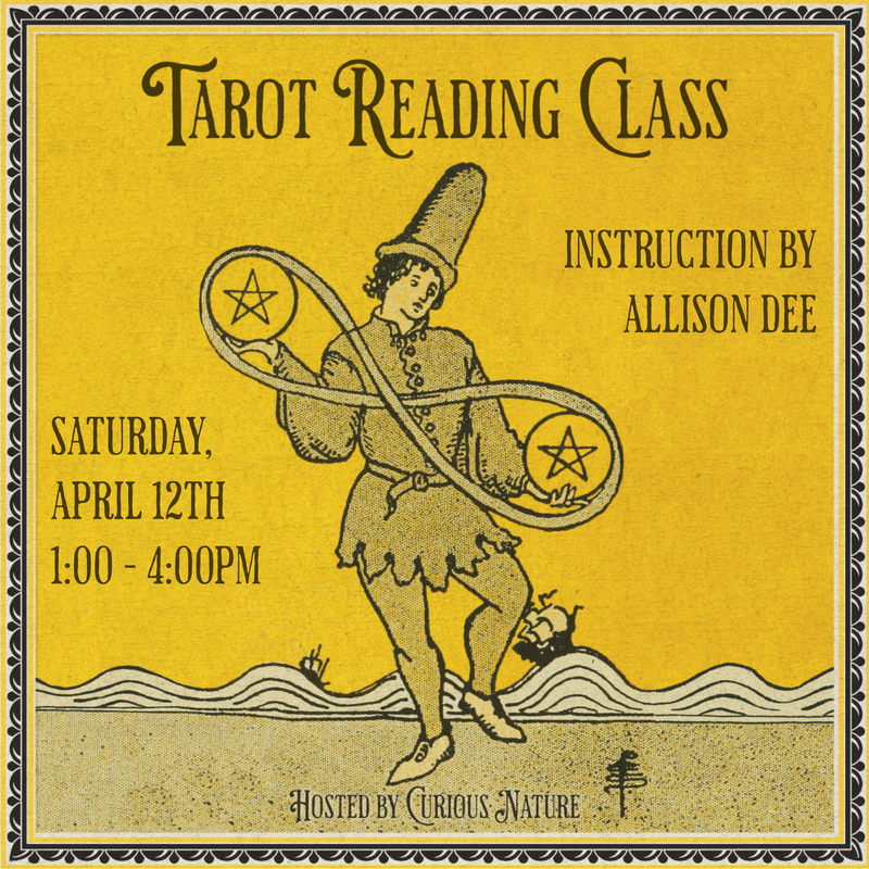 04/12/25 Tarot Reading Class