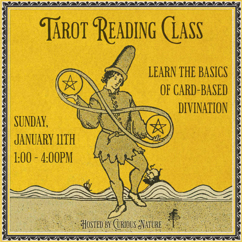 01/11/26 Tarot Reading Class