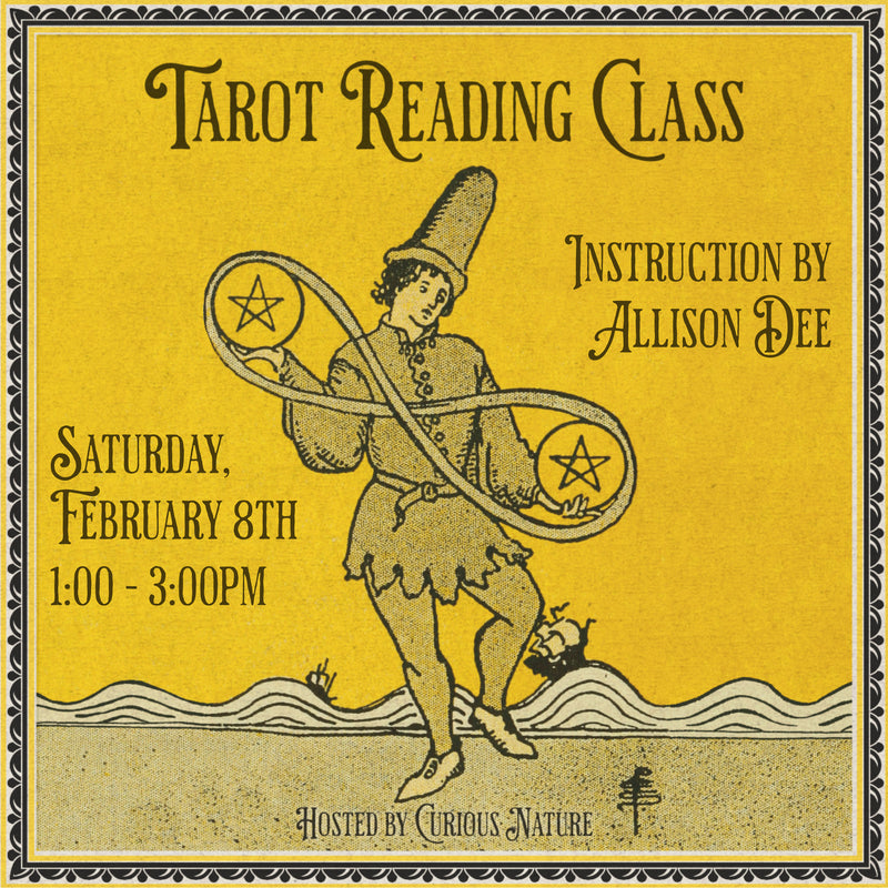 02/08/25 Tarot Reading Class