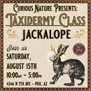 08/15/26 Taxidermy Jackalope Class