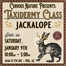 01/09/27 Taxidermy Jackalope Class