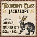 12/13/25 Taxidermy Jackalope Class