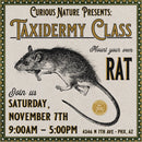 11/07/26 Taxidermy Rat Class