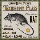 08/08/26 Taxidermy Rat Class