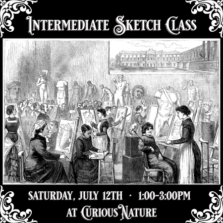 07/12/25 Intermediate Sketch Class