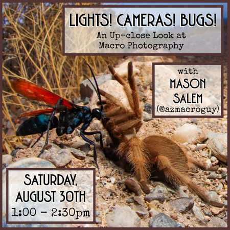 08/30/25 Lights! Cameras! Bugs! with Mason Salem