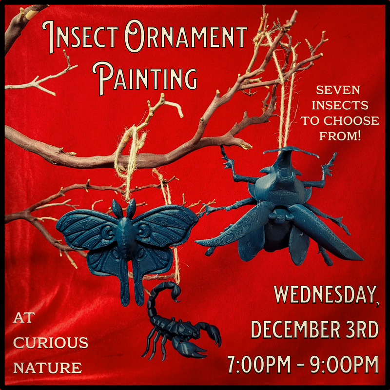 12/03/25 Insect Ornament Painting