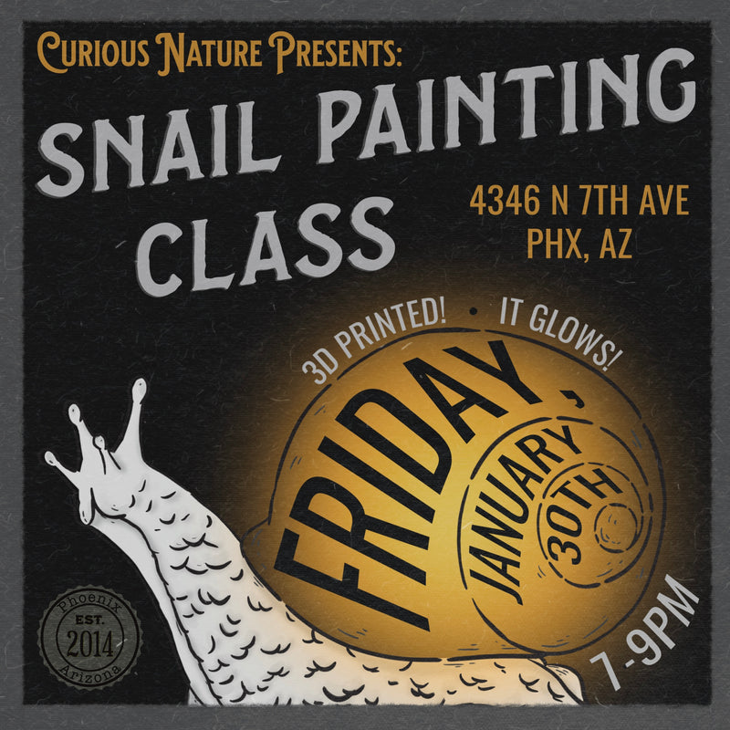 01/30/26 Snail Lamp Painting Class