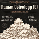 08/01/26 Human Osteology 101