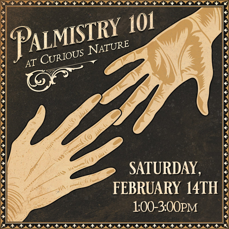 02/14/26 Palmistry 101