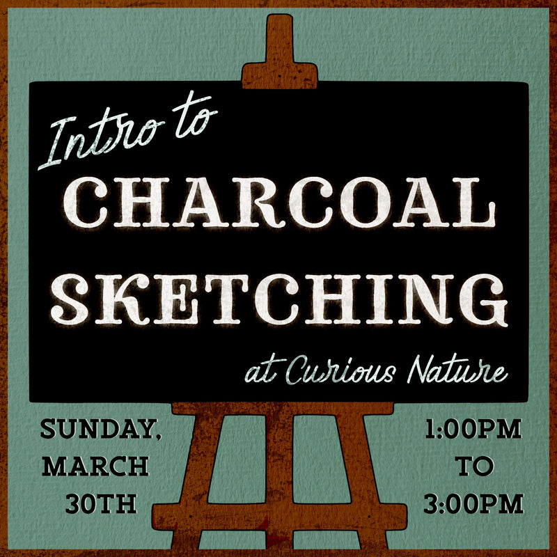 03/30/25 Intro to Charcoal Sketching