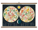 Vintage School Chart - Constellations