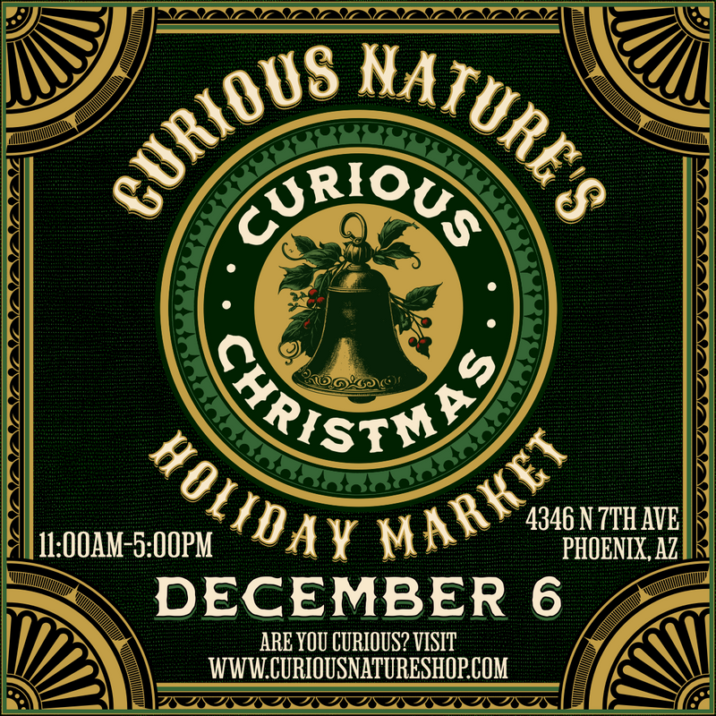 A Curious Christmas Vendor Market Registration 12/06/2025