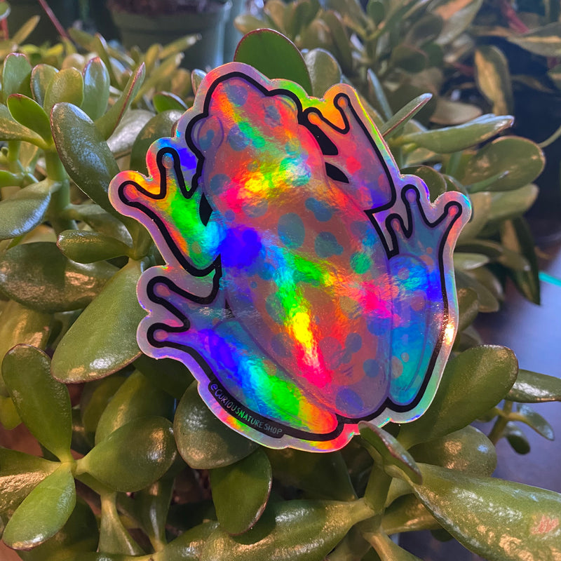 Holographic Pride Frog Sticker