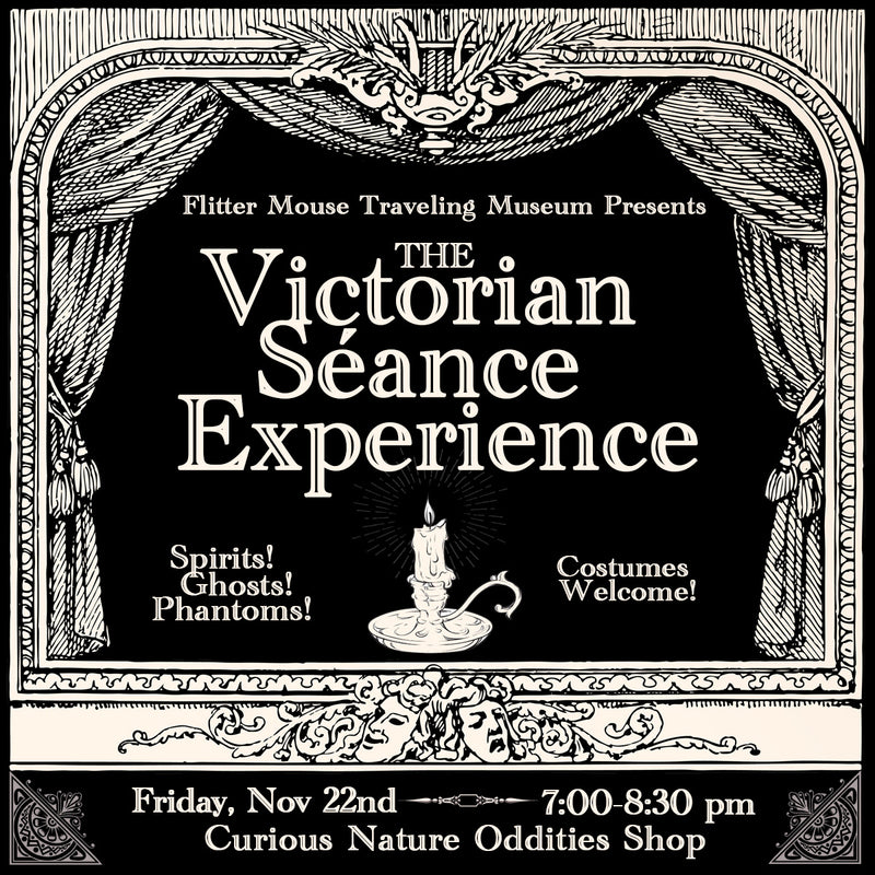 11/22/24 The Victorian Séance Experience