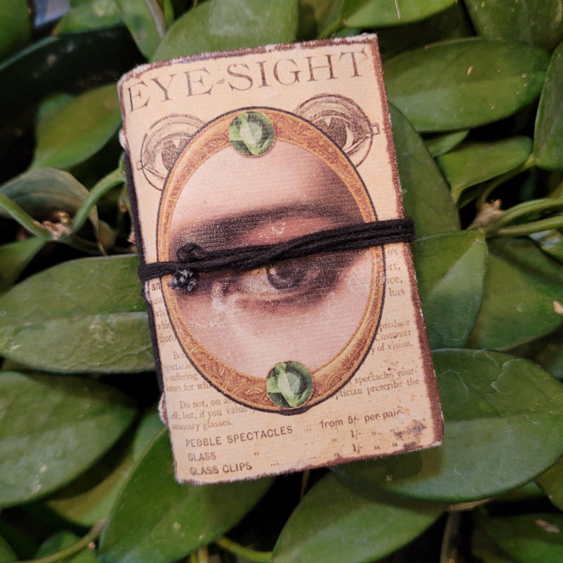 Vintage Eye Art Mini Journal