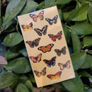 Butterfly Matchbox