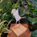 Taxidermy Mouse