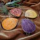 Noble Pectin Shell Purse