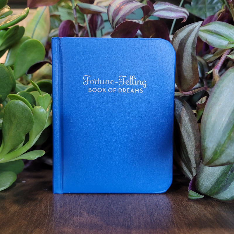 The Fortune-Telling Book of Dreams by A.M. McCloud