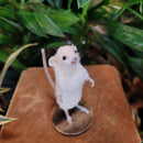 Taxidermy Mouse