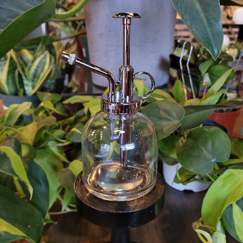 Glass Plant Mister