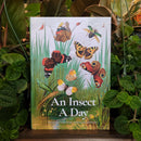 An Insect a Day by Dominic Couzens and Gail Ashton