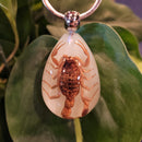 Glow in the Dark Golden Scorpion Tear Drop Keychain