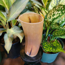 Horn Drinking Glass