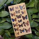 Butterfly Matchbox