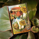 Mini Mushroom Extract Matchboxes