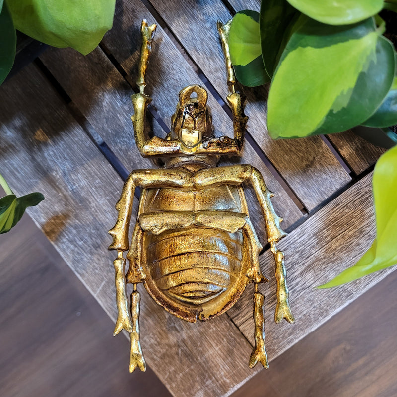 Gold Leaf Beetle Wall Decor