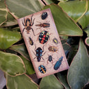 Beetle Matchbox
