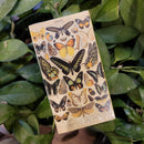 Butterfly Matchbox
